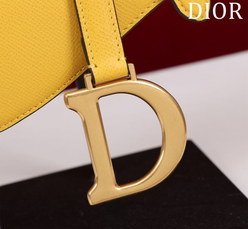 Christian Dior Saddle Bags